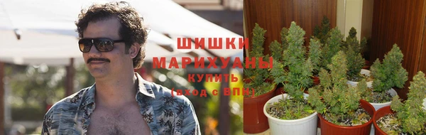 стафф Нея