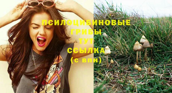 ГАЛЛЮЦИНОГЕННЫЕ ГРИБЫ Нефтегорск