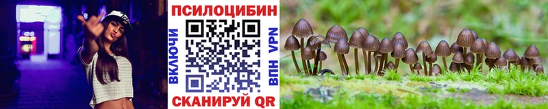 Галлюциногенные грибы мицелий  Саратов 